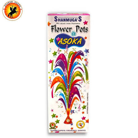 Flower Pots Ashoka